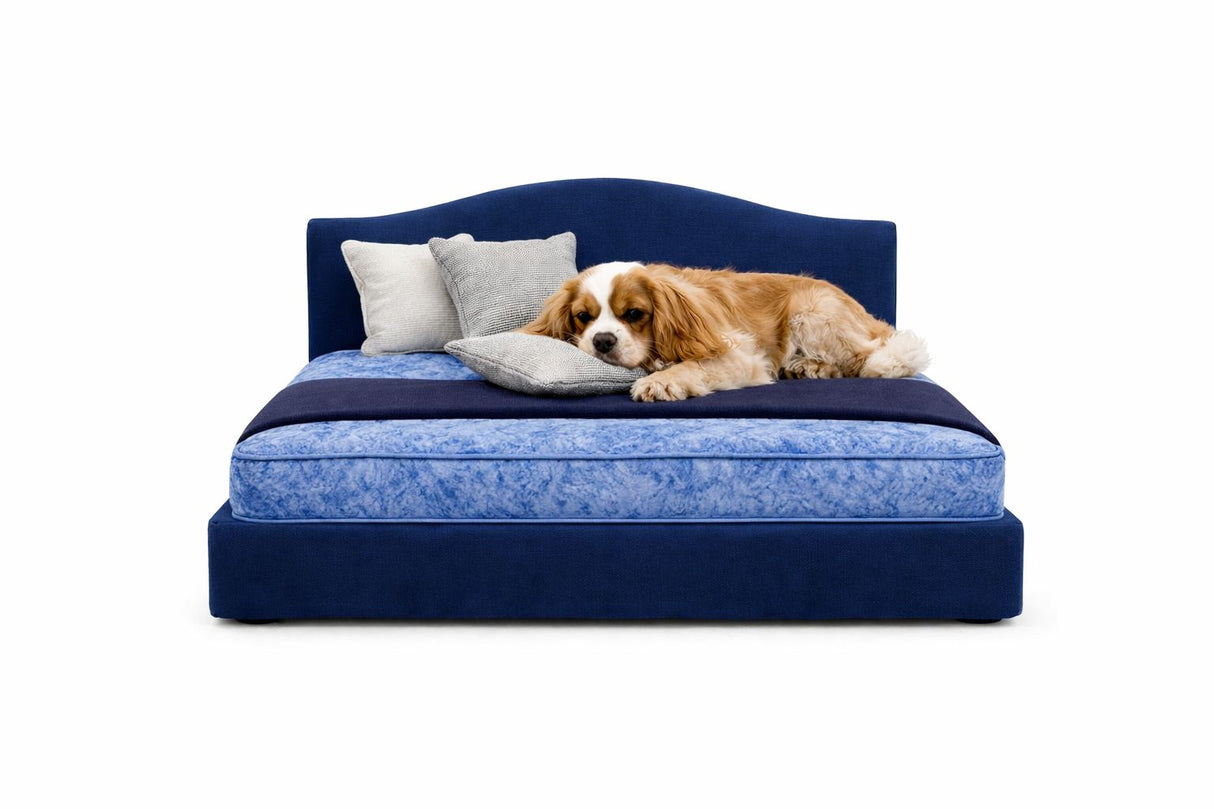 Signature Classic Luxury Pet Divan Bed with Headboard – UK Made
