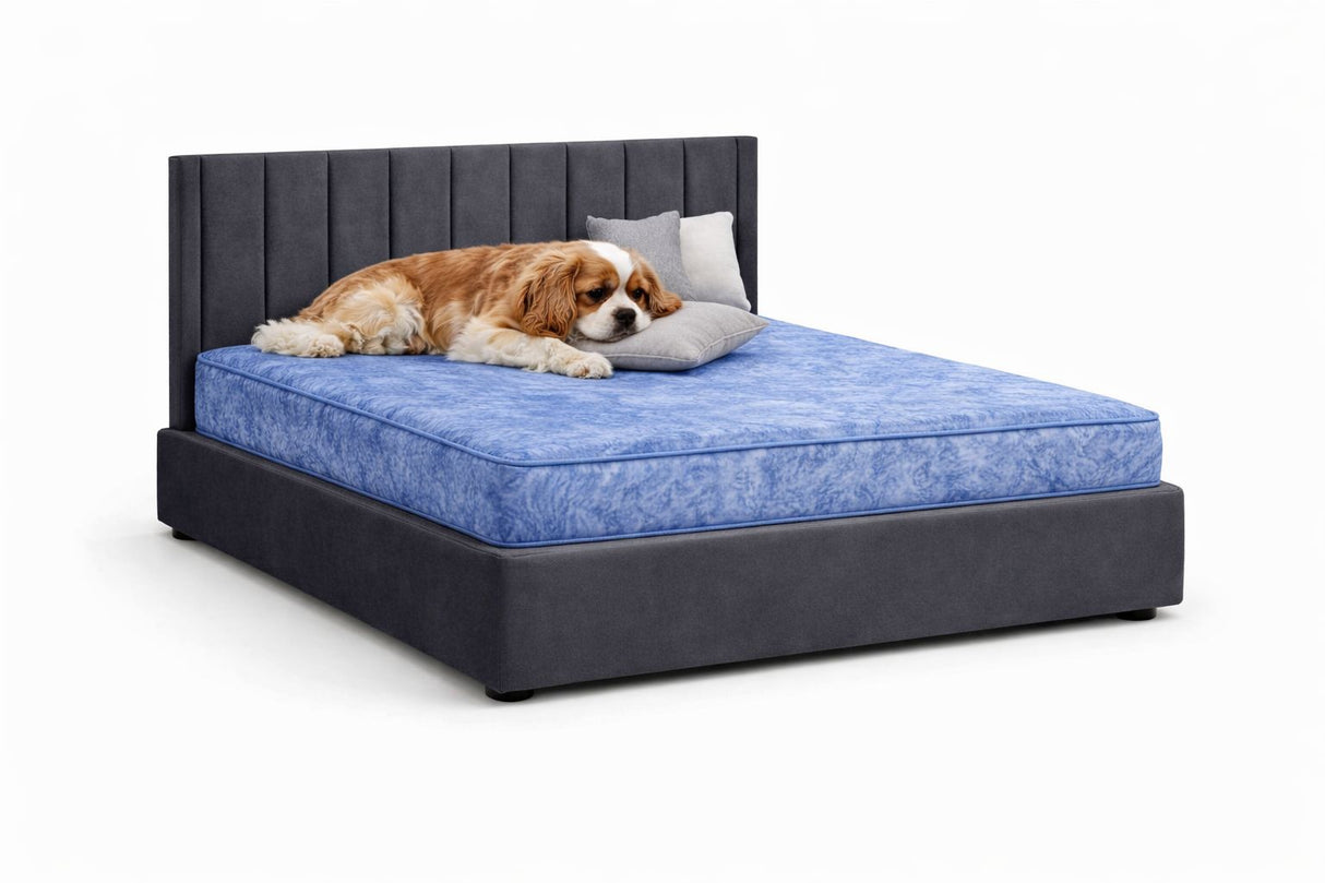 Signature Montgomery Luxury Pet Divan Bed with Headboard – UK Made