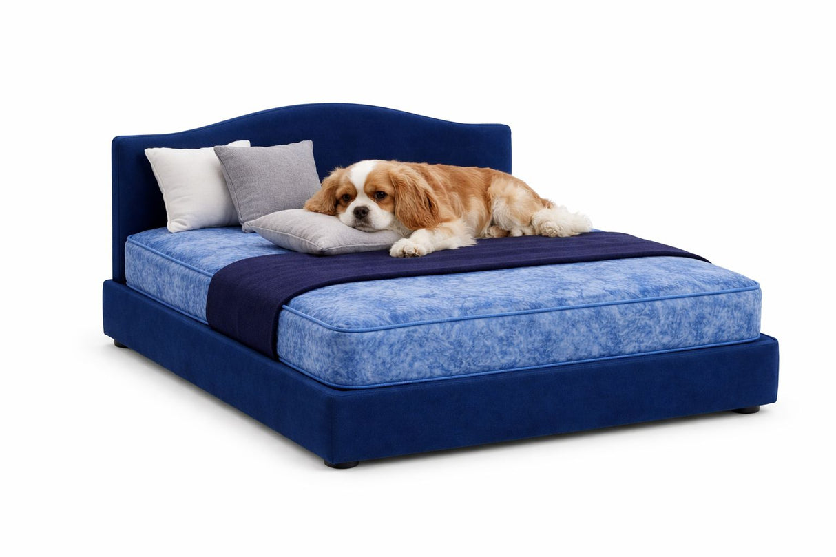 Signature Classic Luxury Pet Divan Bed with Headboard – UK Made