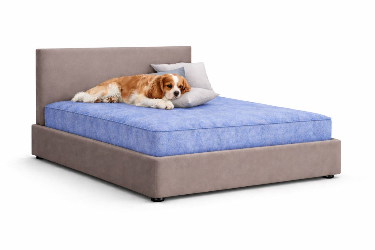 Signature Plain Luxury Pet Divan Bed with Headboard – UK Made