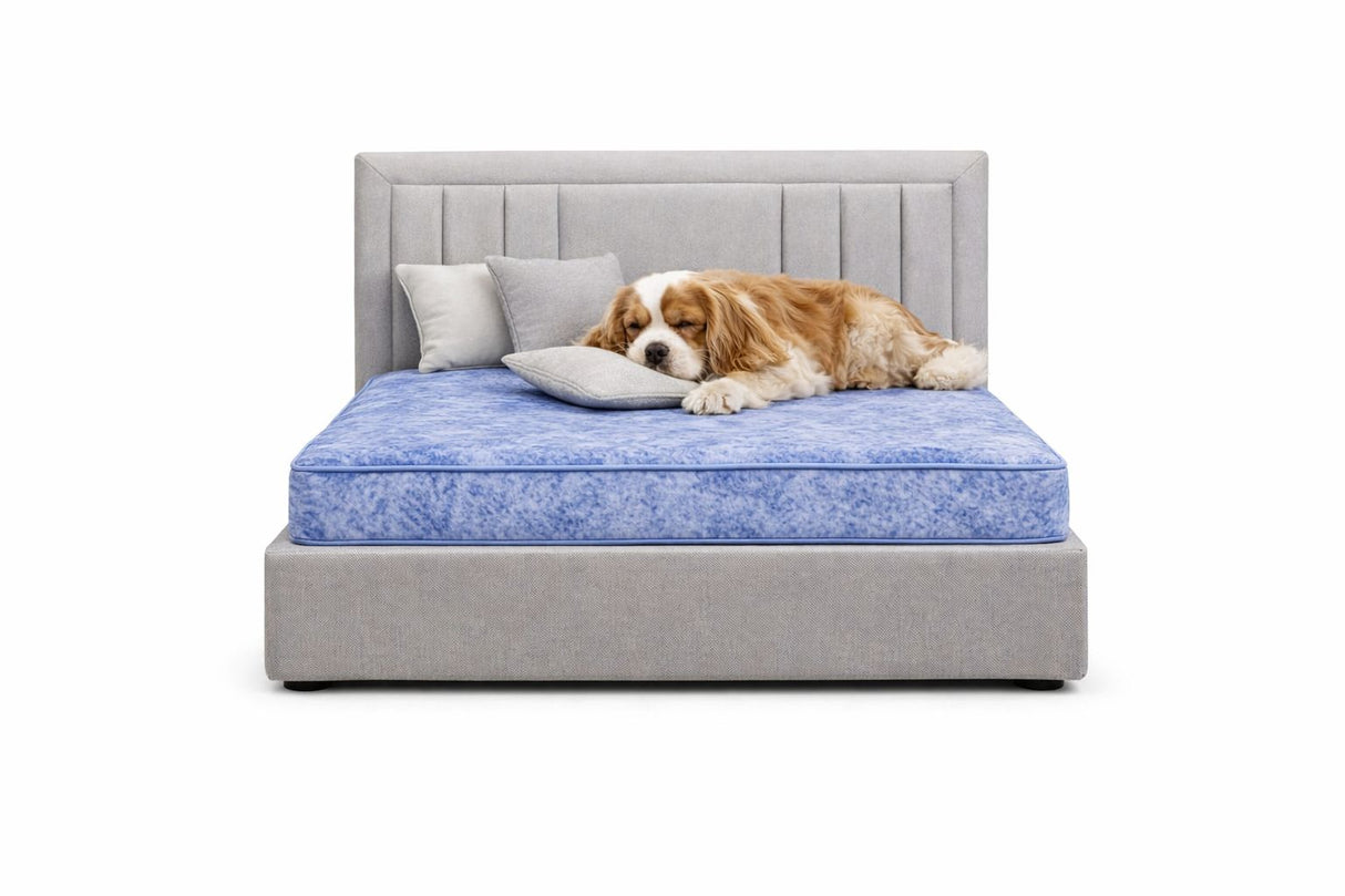 Signature Miami Luxury Pet Divan Bed with Matching Headboard – UK Made