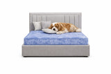 Signature Miami Luxury Pet Divan Bed with Matching Headboard – UK Made