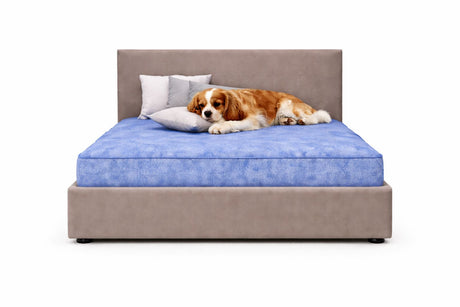 Signature Plain Luxury Pet Divan Bed with Headboard – UK Made