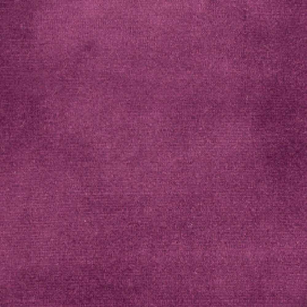 Purple - Plush - Velvet