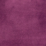 Purple - Plush - Velvet