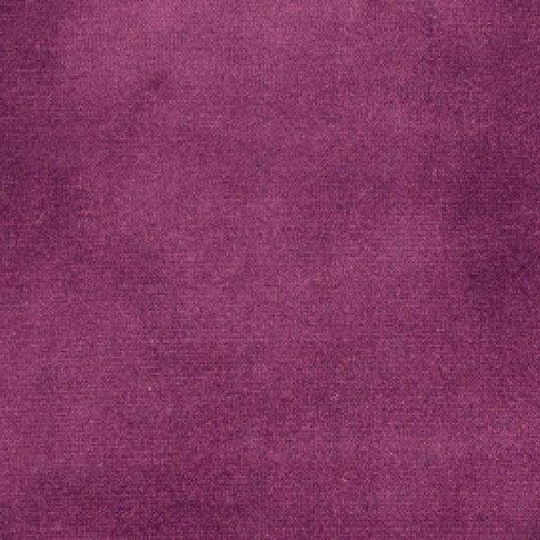 Purple - Plush - Velvet