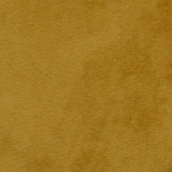 Tumeric - Plush - Velvet