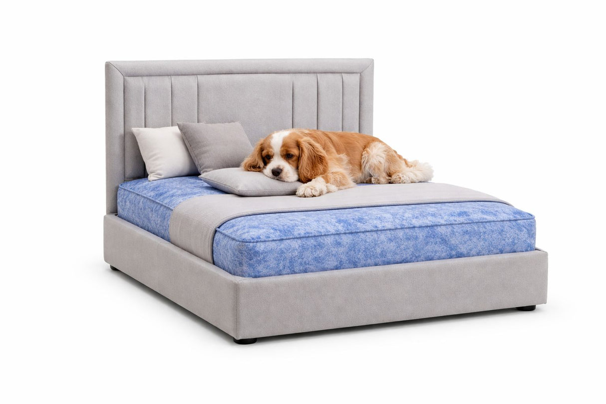 Signature Miami Luxury Pet Divan Bed with Matching Headboard – UK Made