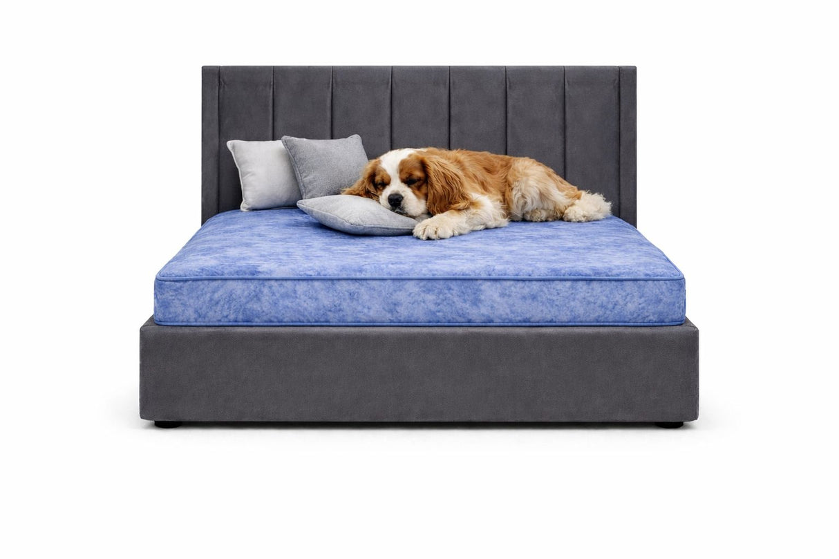 Signature Montgomery Luxury Pet Divan Bed with Headboard – UK Made